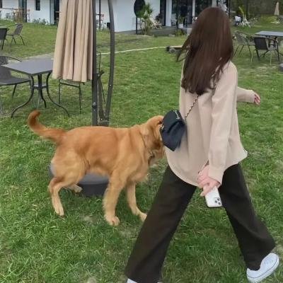绅士的天启同盟